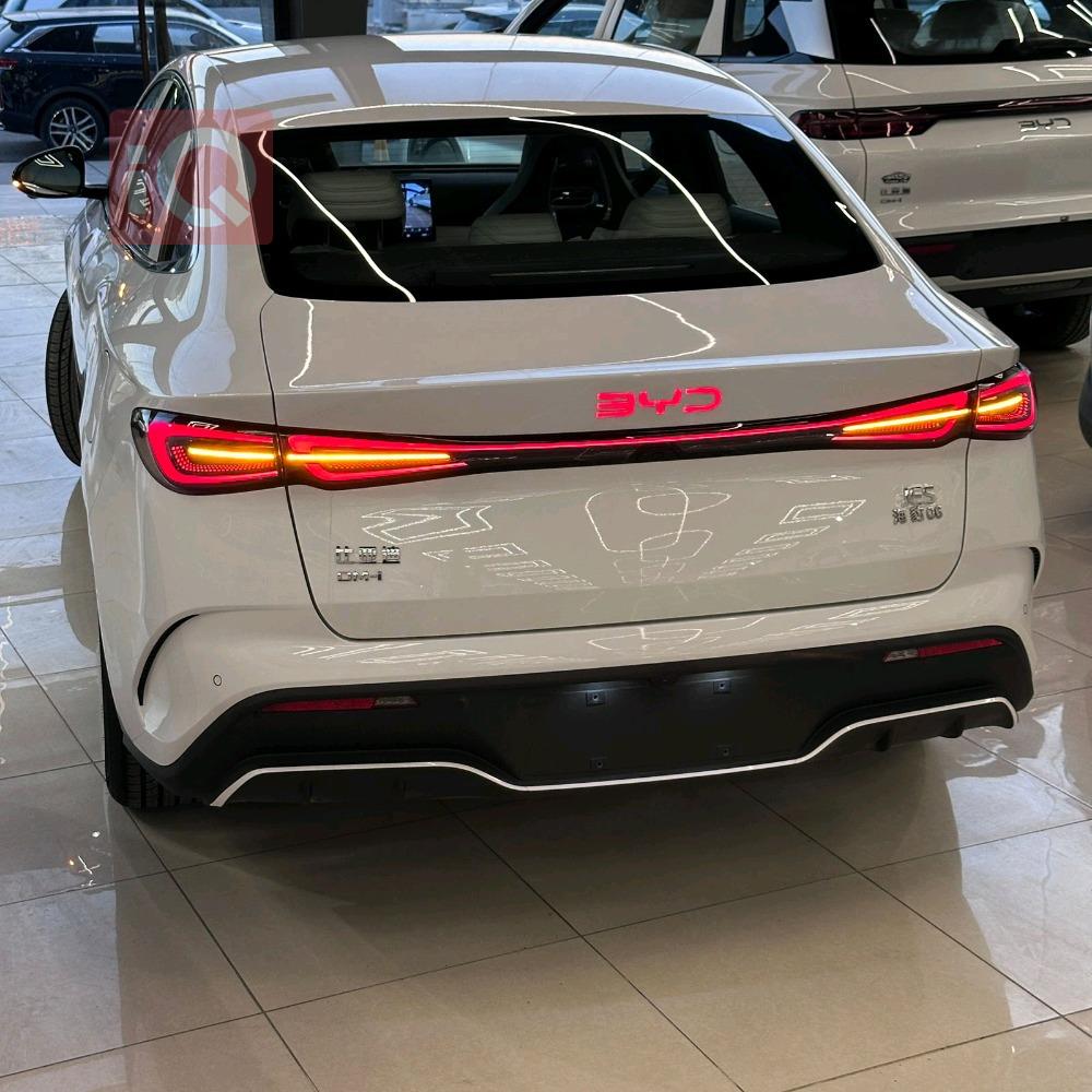 بي واي دي سيل 06 DM-i